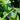 Revoray-Y1-Cycling Sunglasses-
Photochromic-2