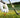 <strong>Best Golf Sunglasses for Clarity, Comfort, and Control</strong>