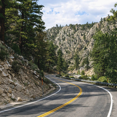 Mountain road with trees, rocky hills, and sunlight viewed without color enhancing sunglasses.